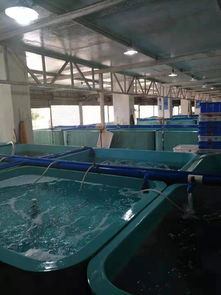 耕塘牧鱼 水产养殖中的养殖机械智慧