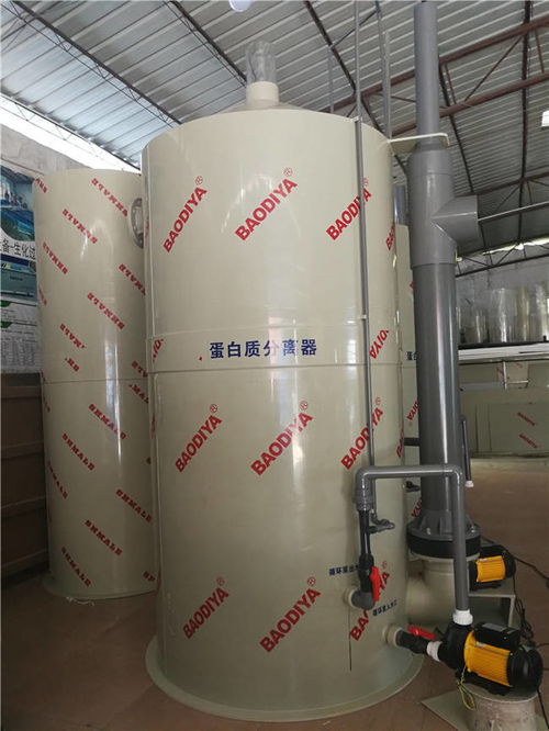 广州循环水养殖设备批发指南 工厂化水产养殖的未来与实践