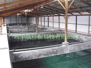 水产养殖设备解析 蛋白质分离器与泡沫分离器的应用价值
